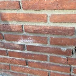  Efflorescence on walls can appear both on the mortar joints and on the bricks.
