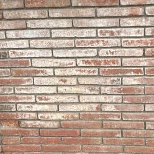  Efflorescence on walls after the water that dissolved the salts evaporates