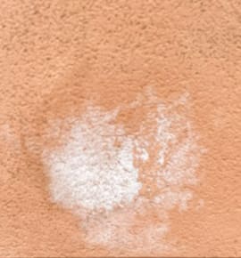  Efflorescence on walls occurs when the water that dissolved the salts evaporates