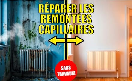 Réhabiliter correctement les murs avec humidité par capillarité